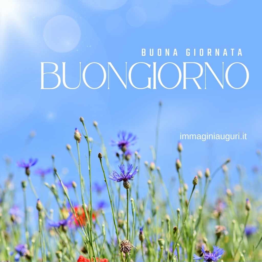 buongiorno con i fiori di primavera