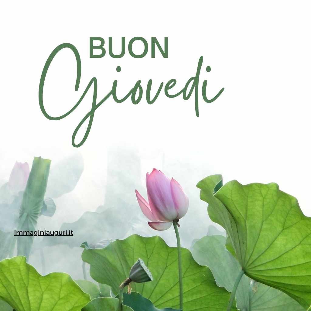 buongiorno giovedi