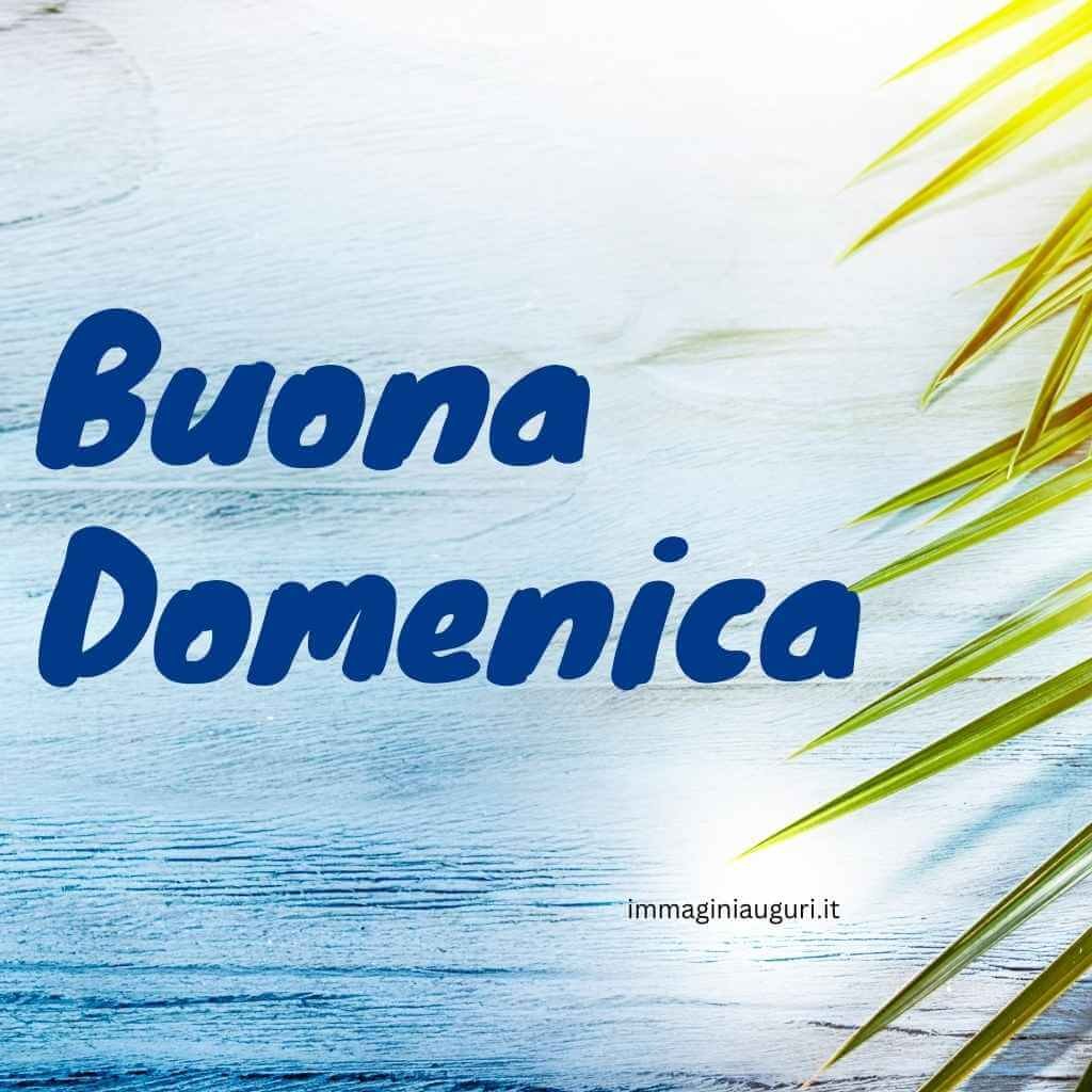 immagini della domenica delle palme