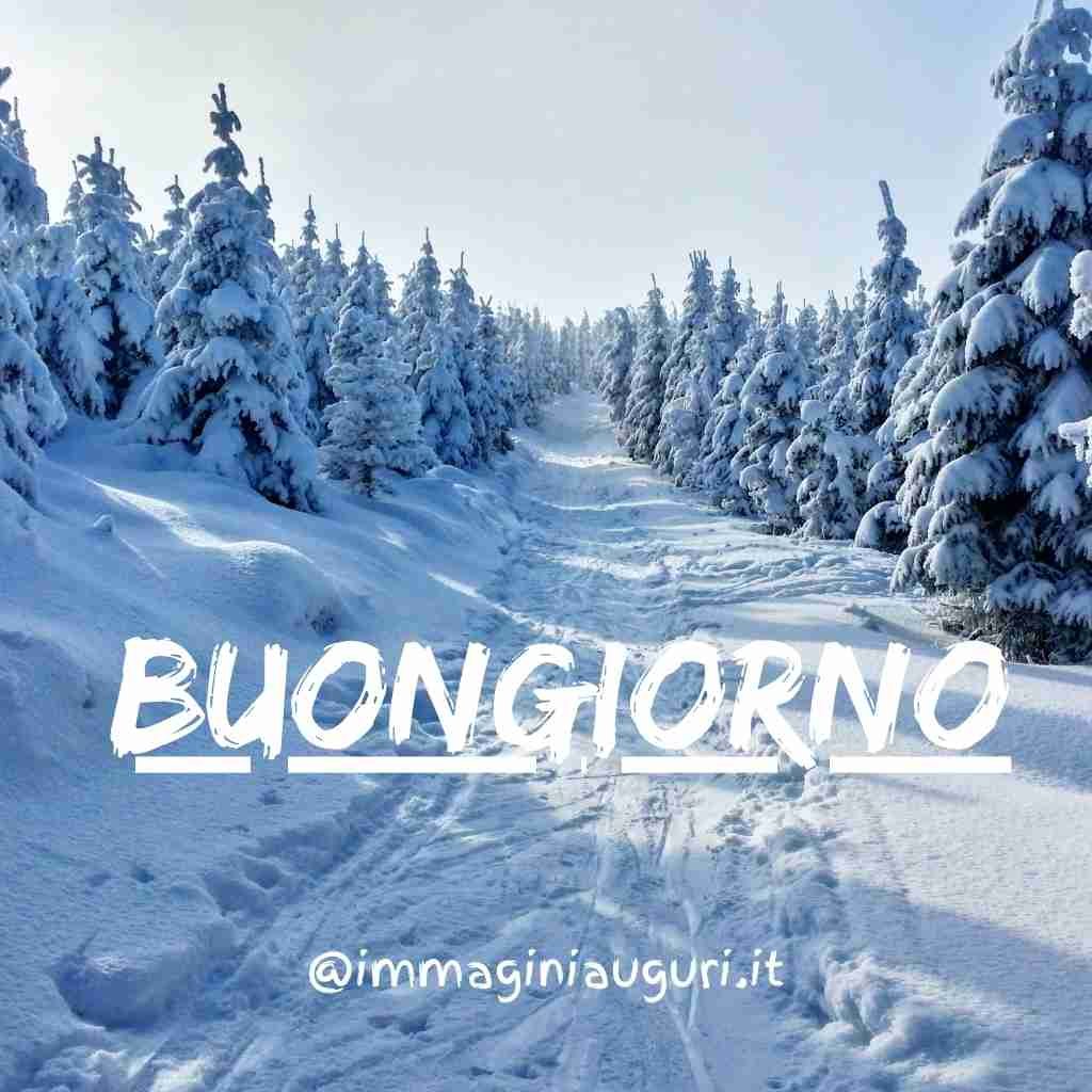 immagini buongiorno invernali gratis