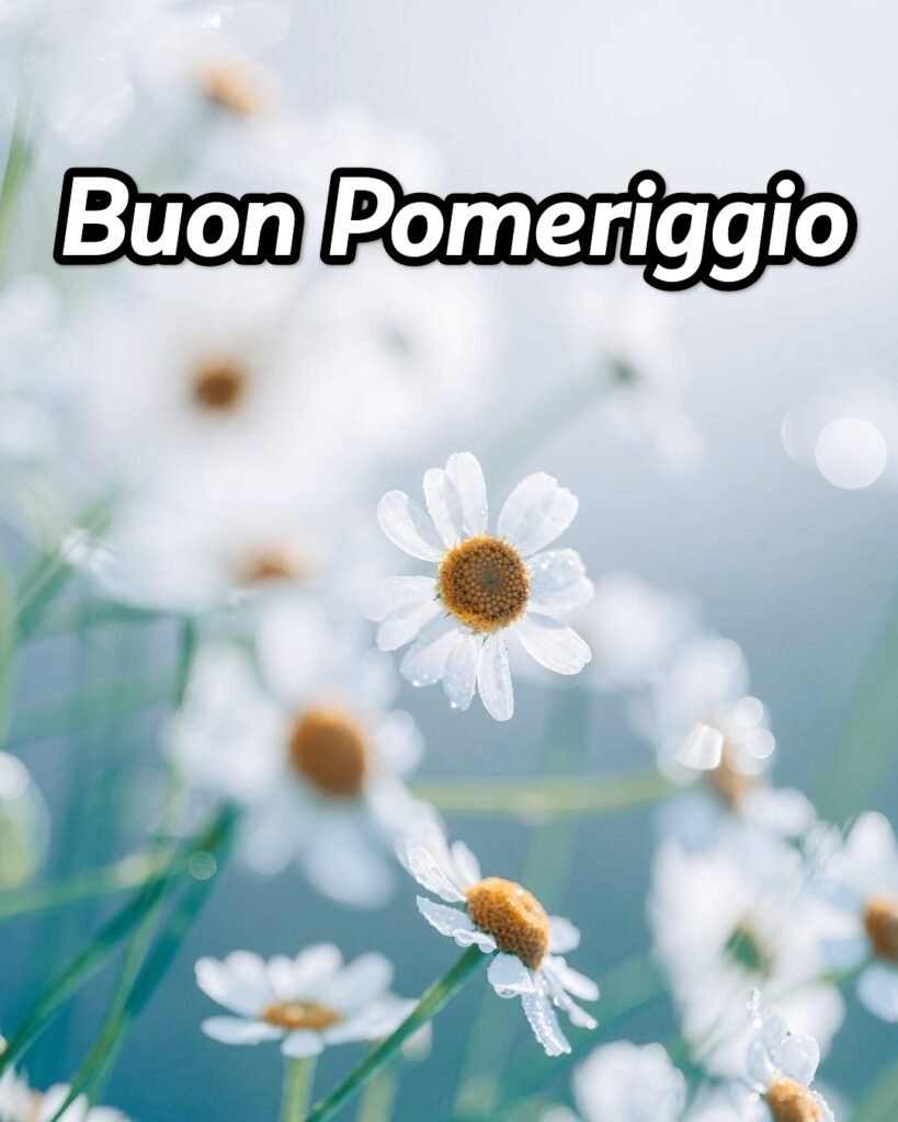 Buon Pomeriggio