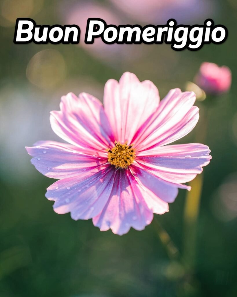 Buon Pomeriggio Autunnale Frasi