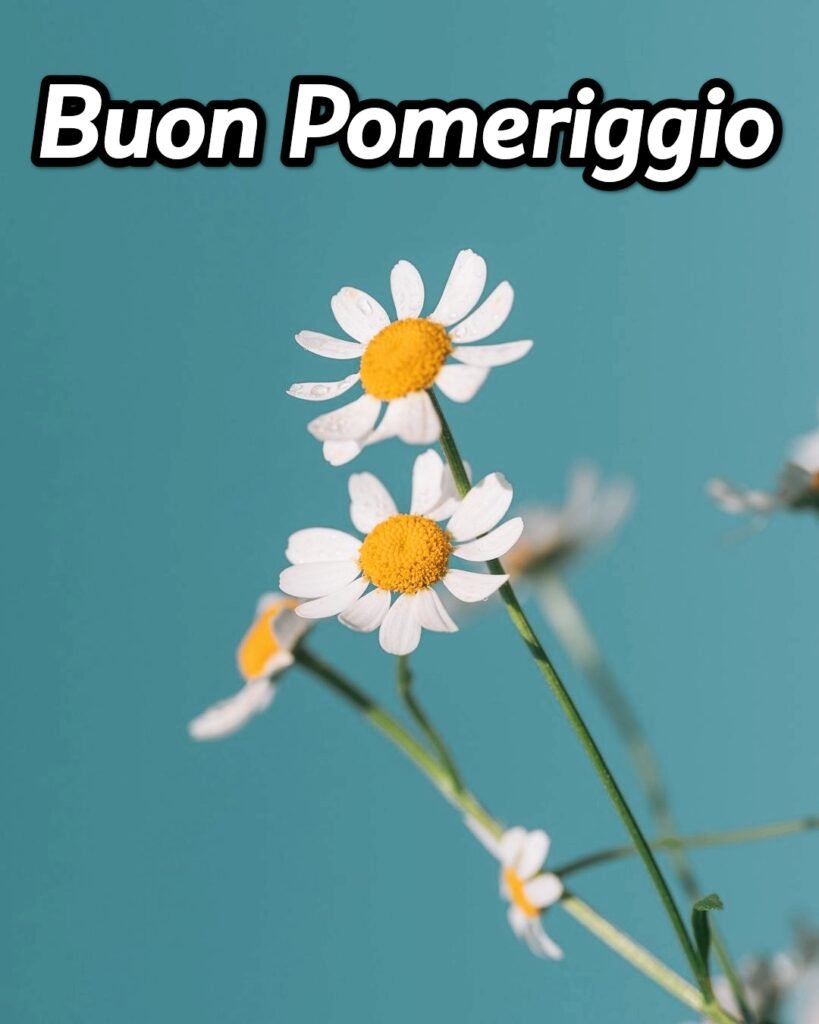 Buon Pomeriggio Autunnale Immagini Nuove