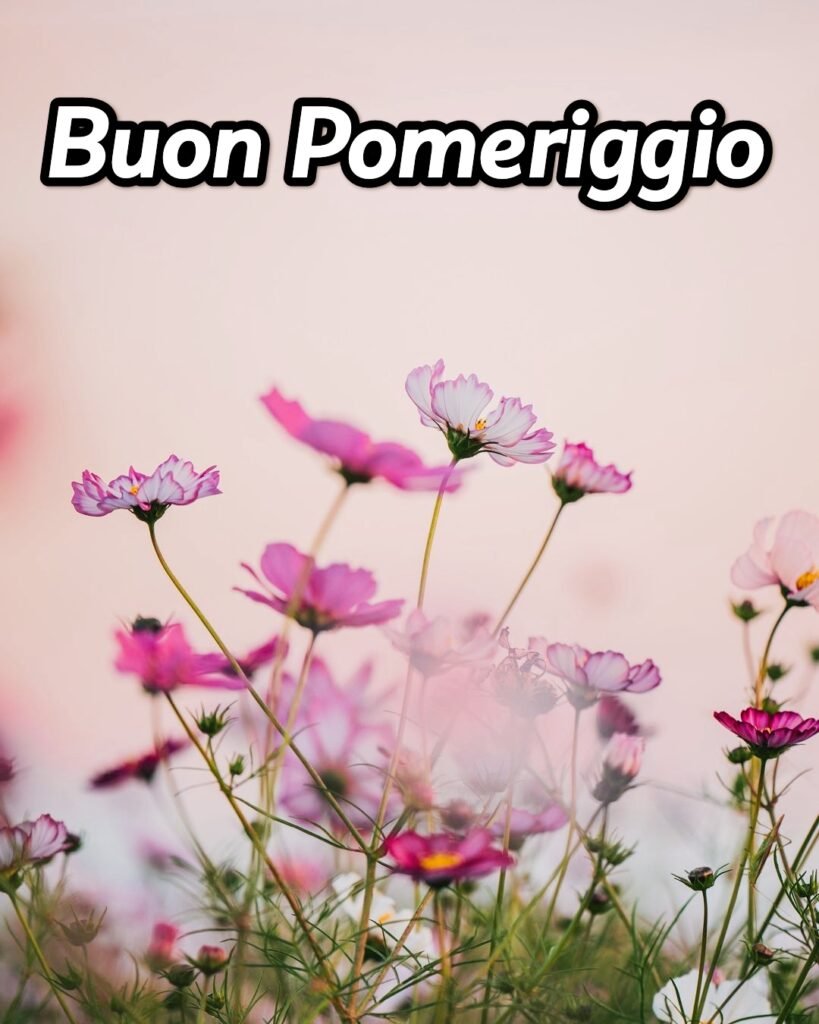 Buon Pomeriggio Autunnale Immagini Per Whatsapp Nuove