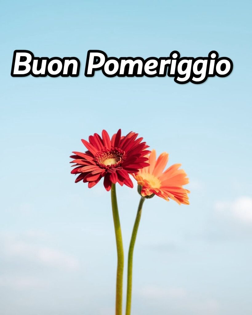 Buon Pomeriggio Domenicale