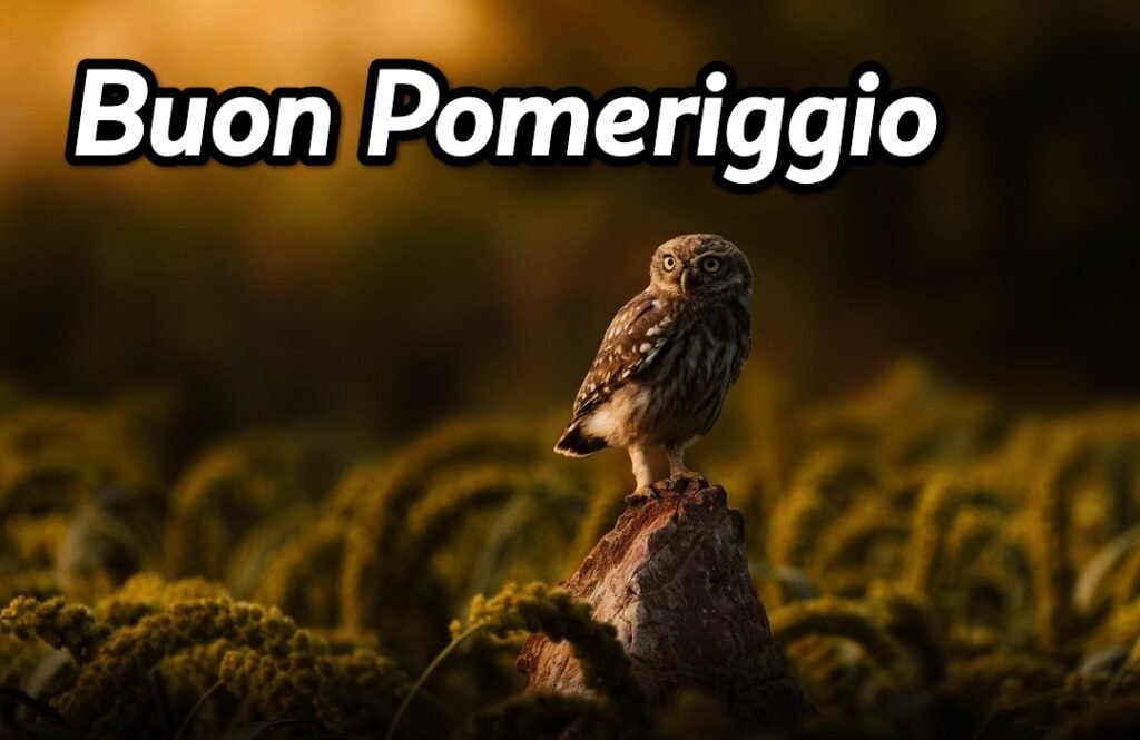 Buon Pomeriggio Immagini Belle Gratis