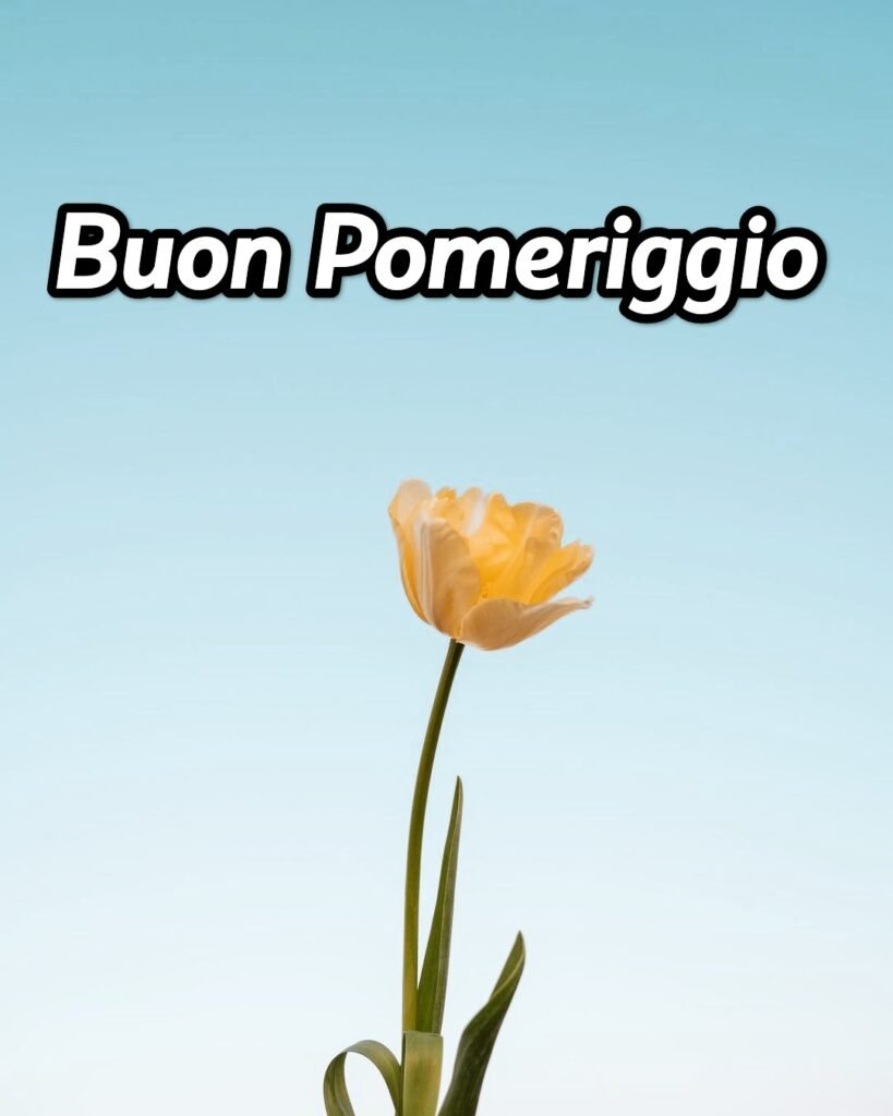 Buon Pomeriggio Immagini Bellissime