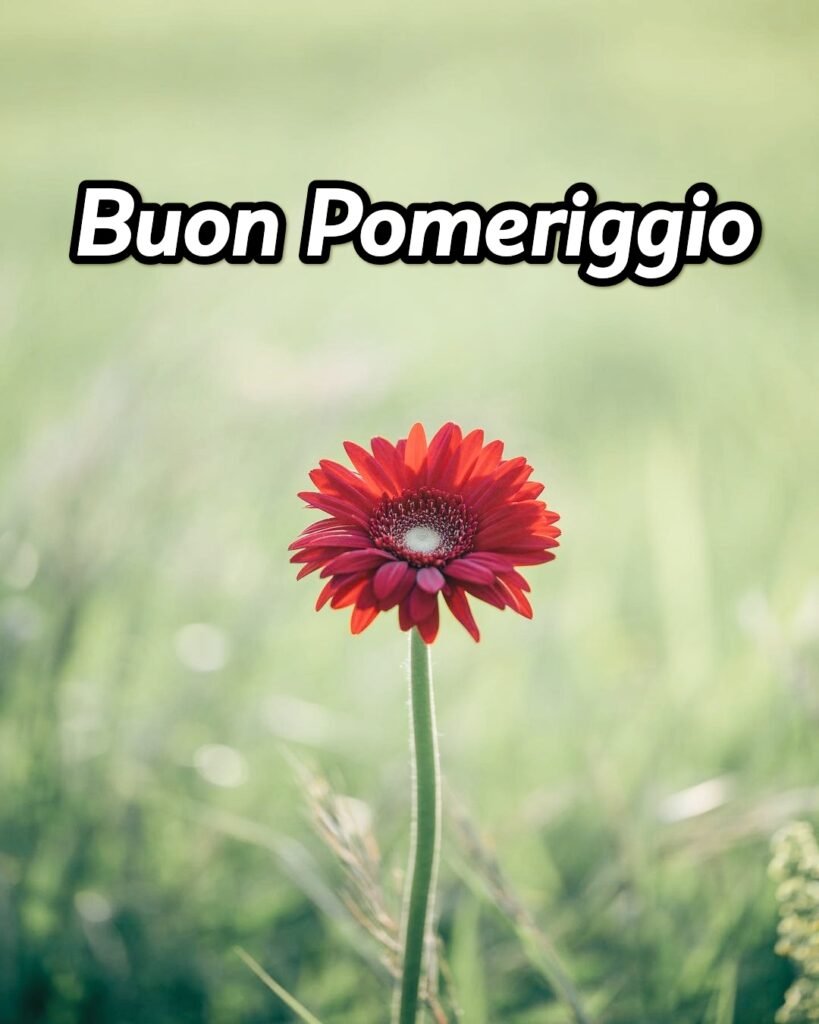 Buon Pomeriggio Immagini Bellissime Gratis