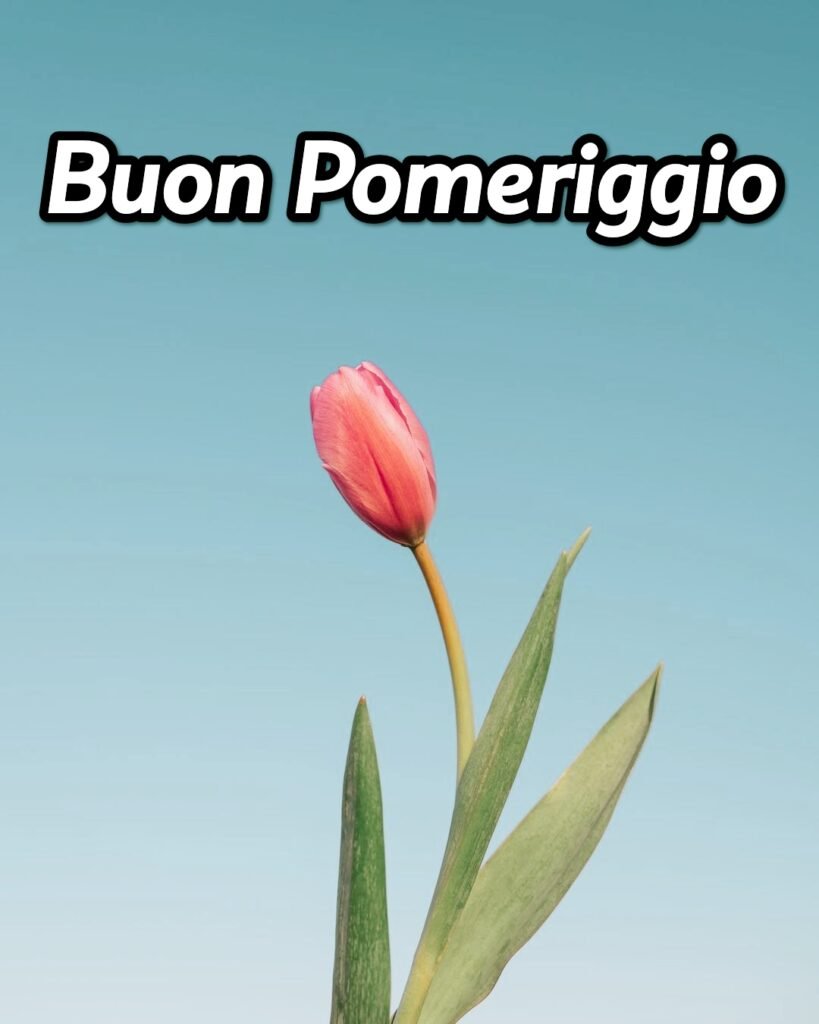 Buon Pomeriggio Immagini Nuove