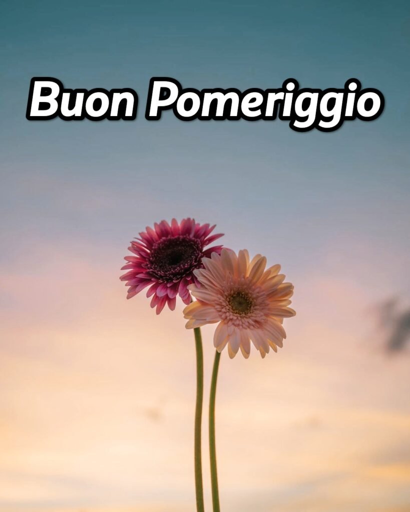 Buon Pomeriggio Immagini Nuove 2024