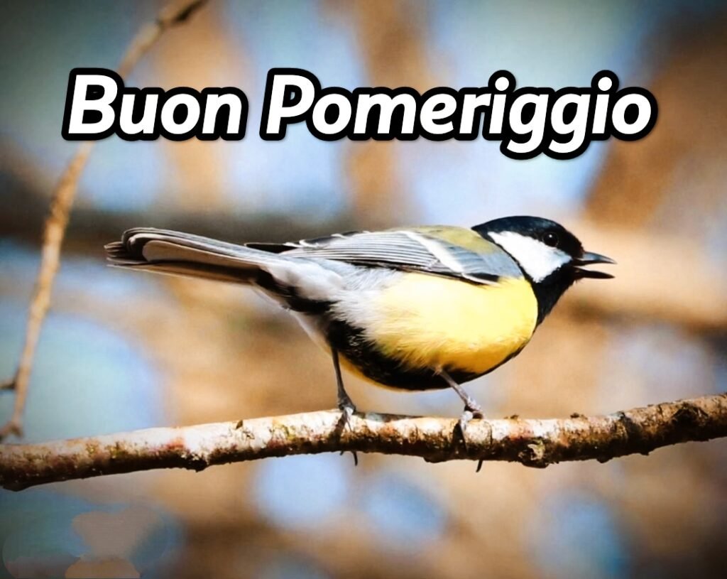 Buon Pomeriggio Immagini Nuove Gratis