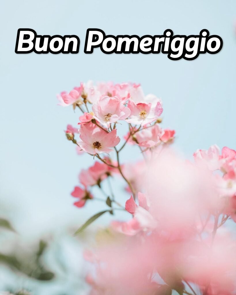 Buon Pomeriggio Meraviglioso