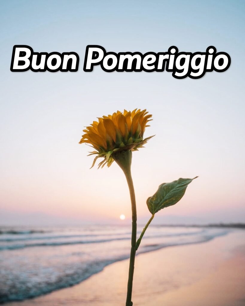 Buon Pomeriggio Natalizio