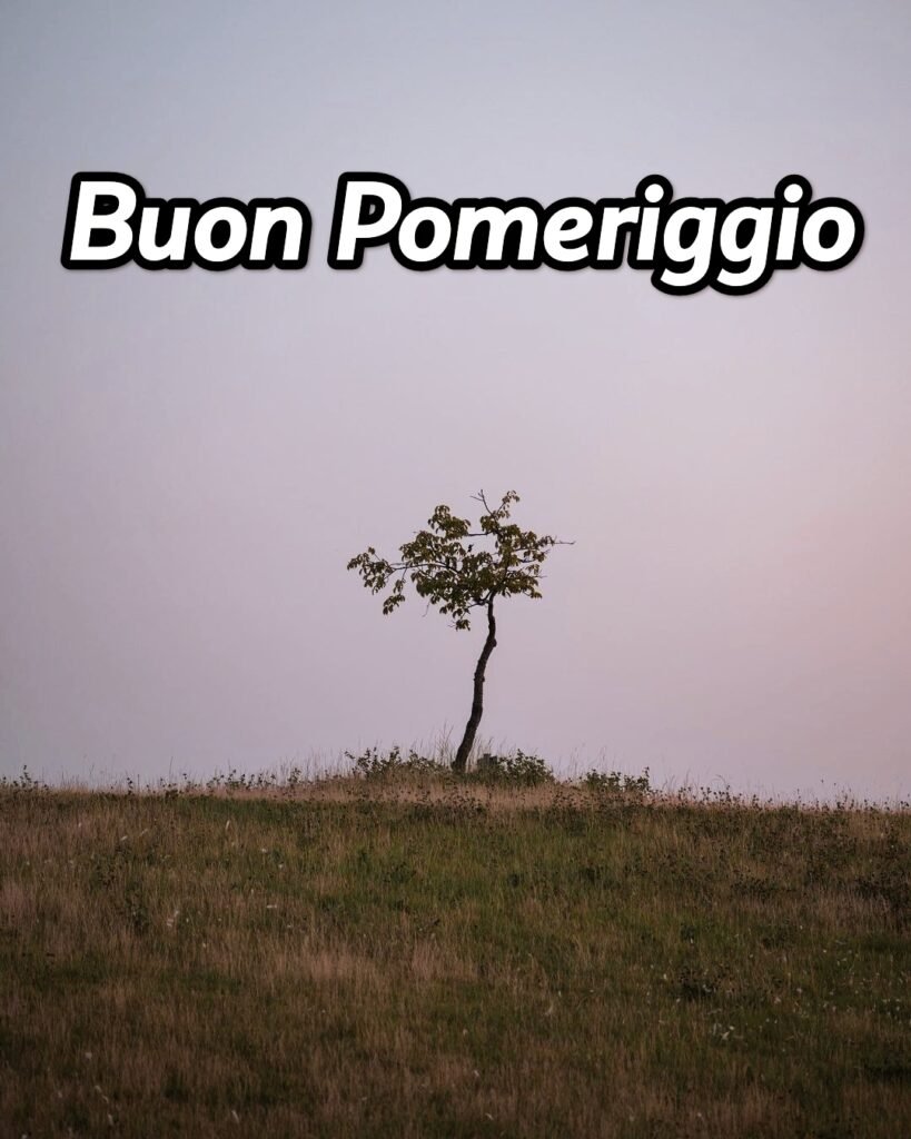 Buon Pomeriggio Nuovissimbuonpomeriggio O Buon Pomeriggio Immaginie