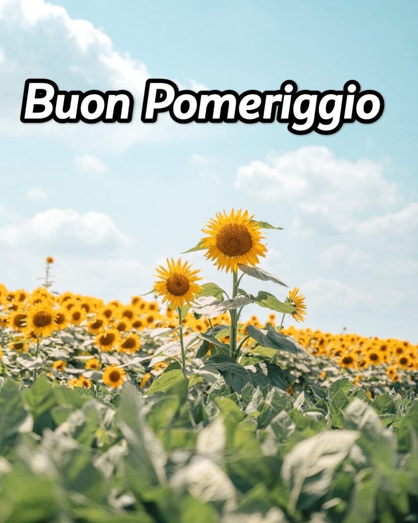 Buon Pomeriggio Piovoso