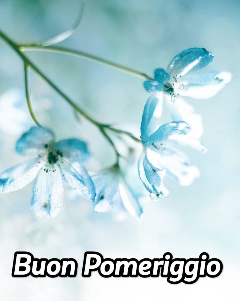 Foto Buon Pomeriggio