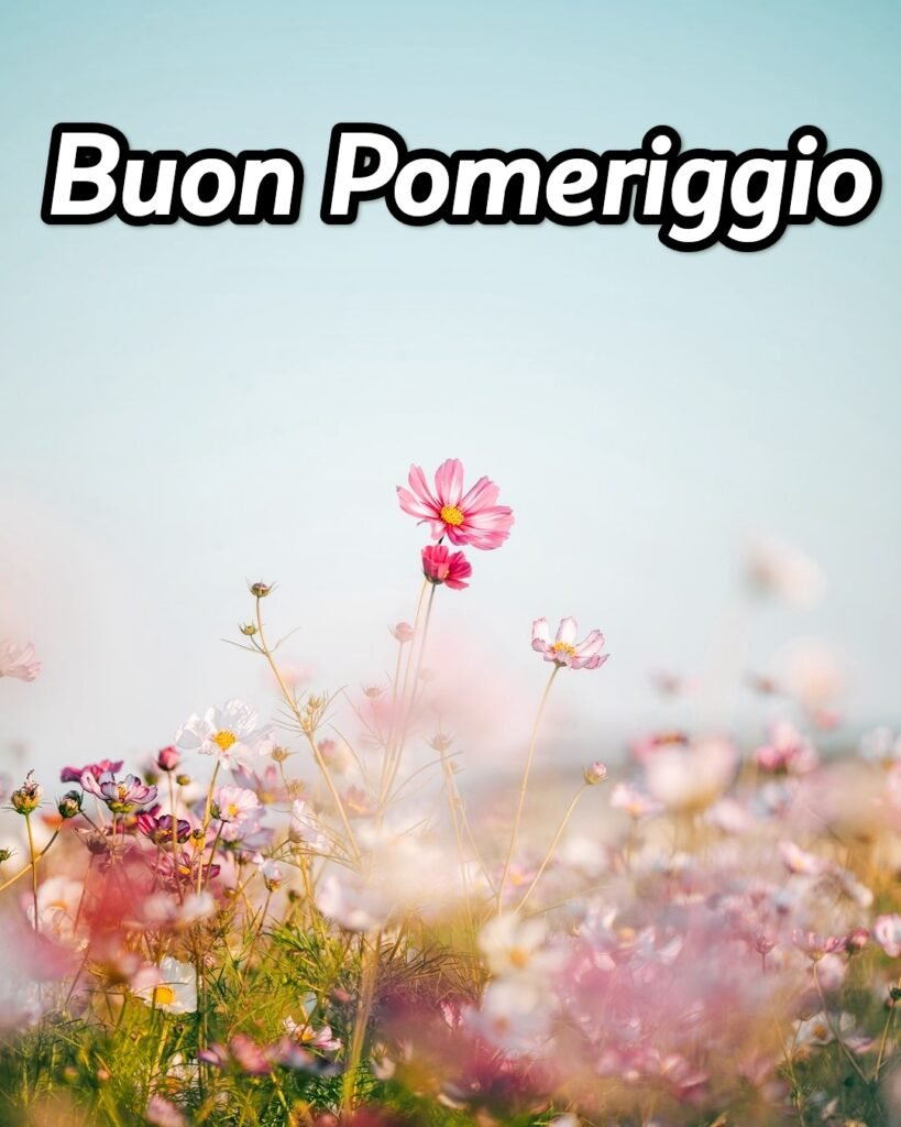 Piovoso Buon Pomeriggio Autunnale