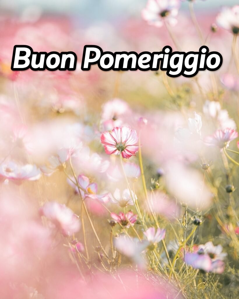 Simpatico Divertente Buon Pomeriggio Autunnale