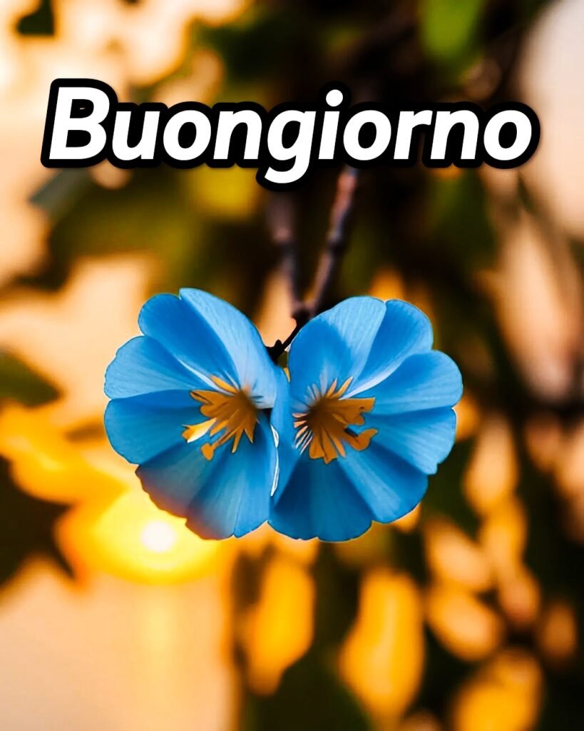 100 Immagini Buongiorno Sabato