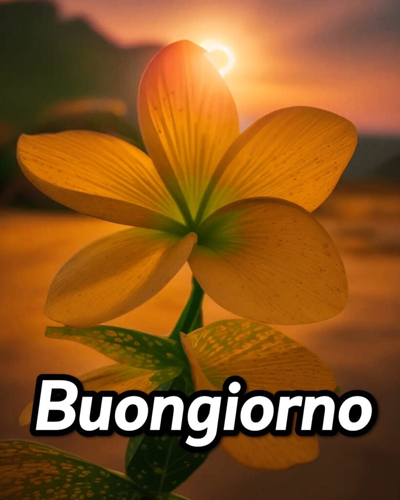 Buongiorno Immagini Bellissime