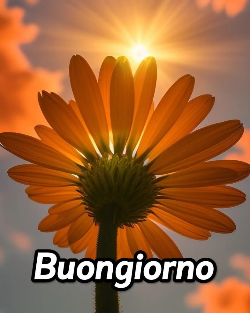 Immagini Buongiorno Amore