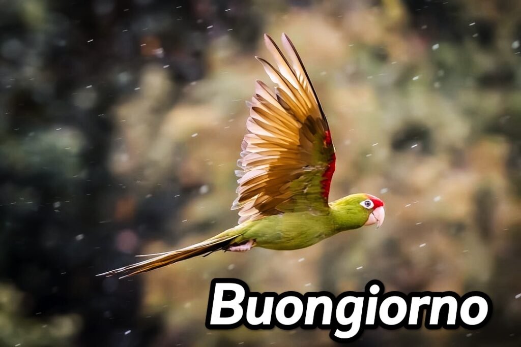 Semplicemente Buongiorno Immagini Nuove