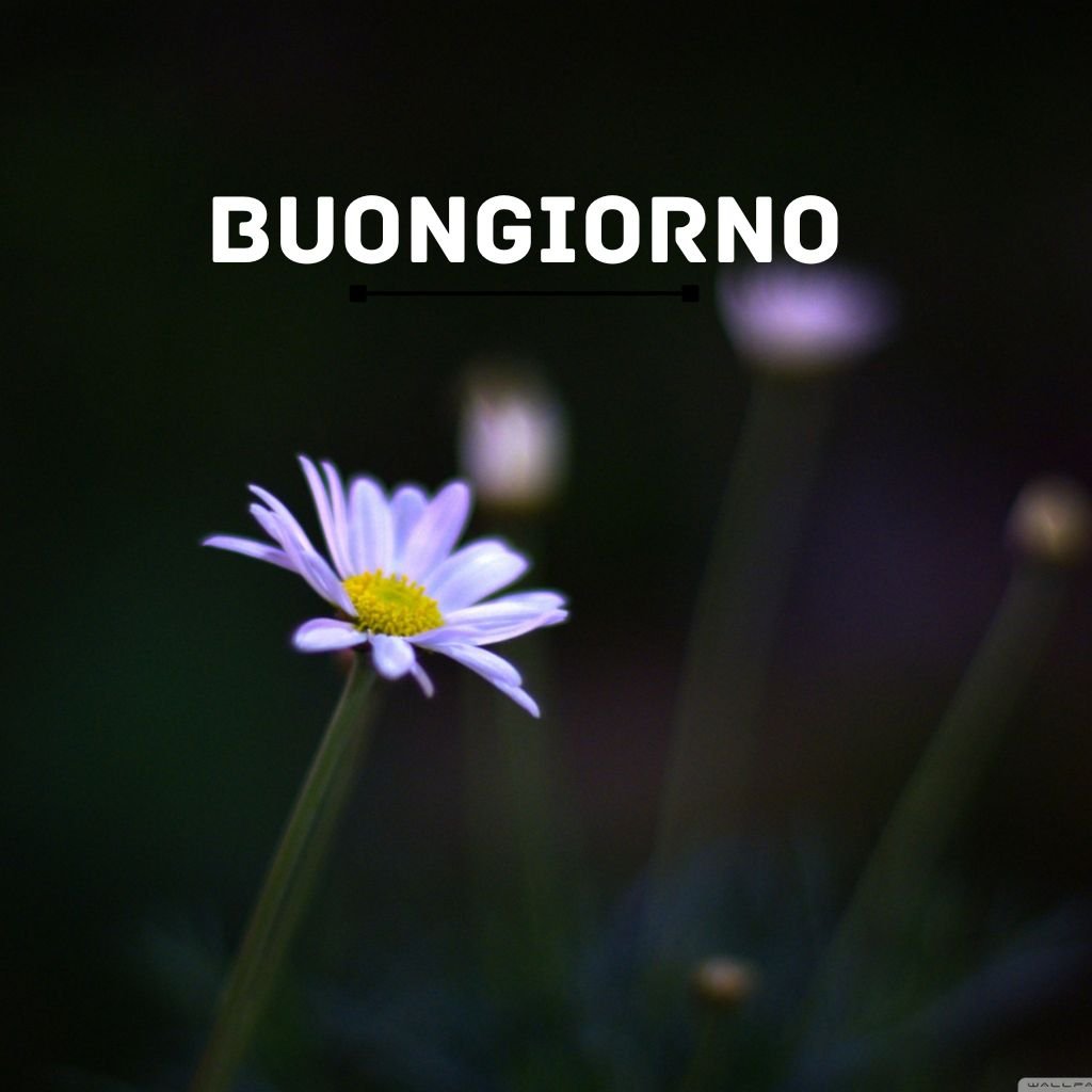 Buongiorno Immagini Nuove Gratis